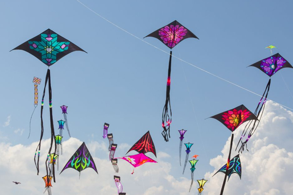 Kite Festival